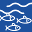 Graphic of three fish in water
