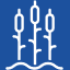 Water reeds graphic