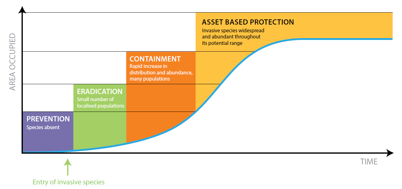 Invasive species management - four approaches are aligned with the invasion process from arrival to widespread establishment