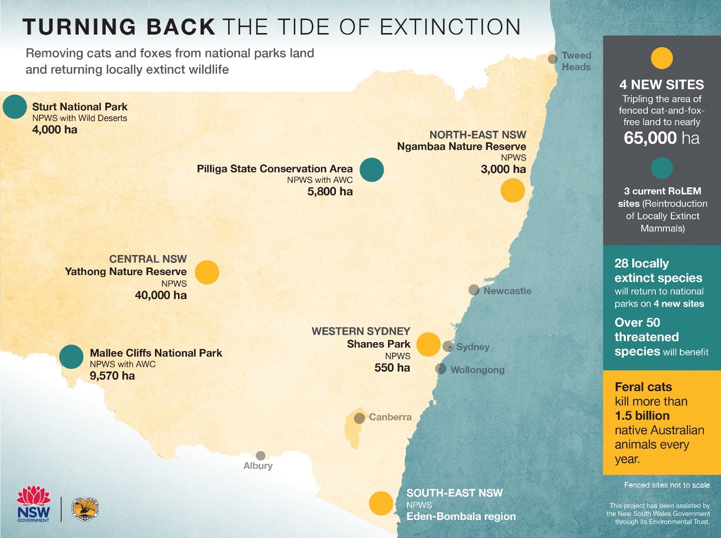 Removing cats and foxes from national parks and returning locally extinct wildlife