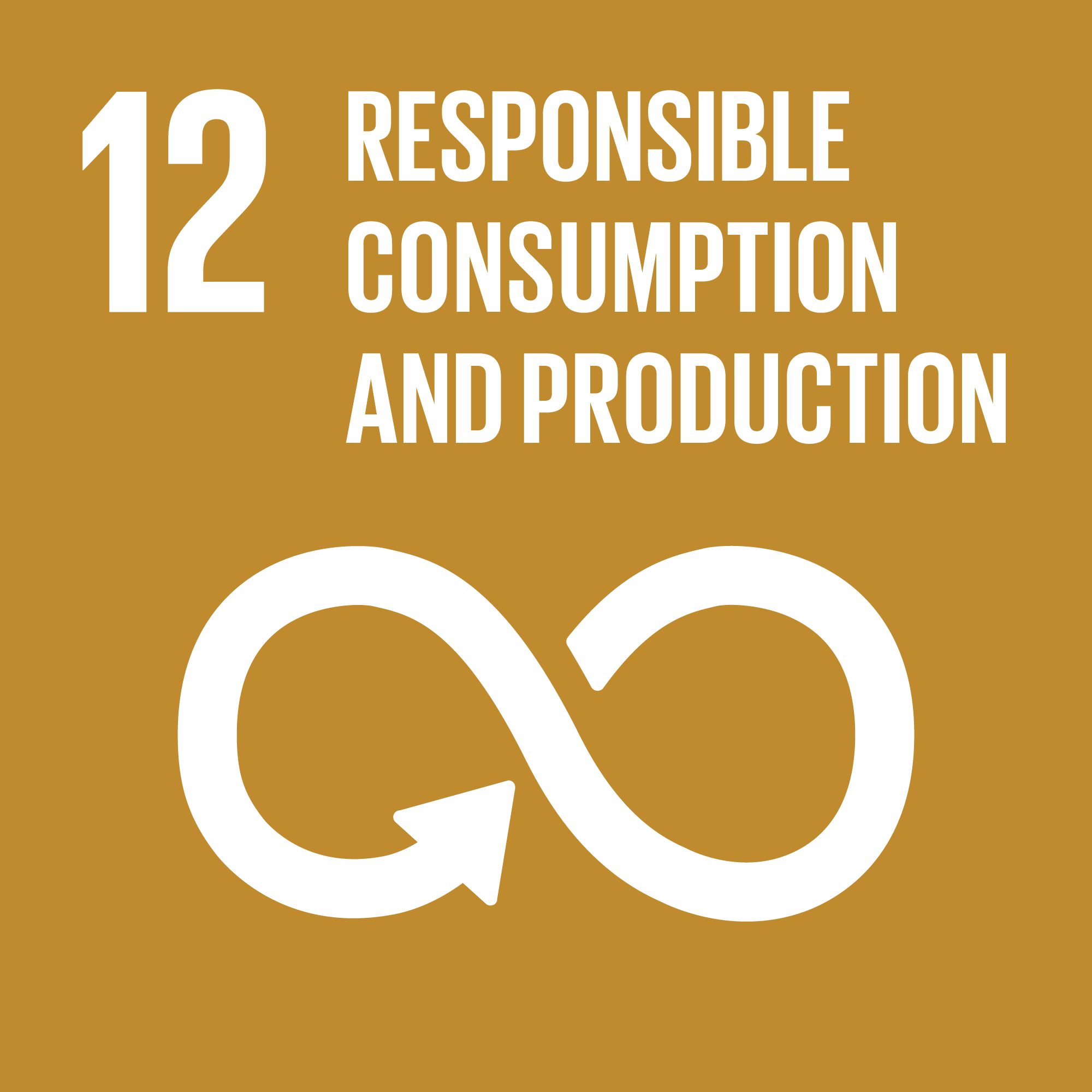 SDG Global Goal 12 icon - Responsible consumption and production