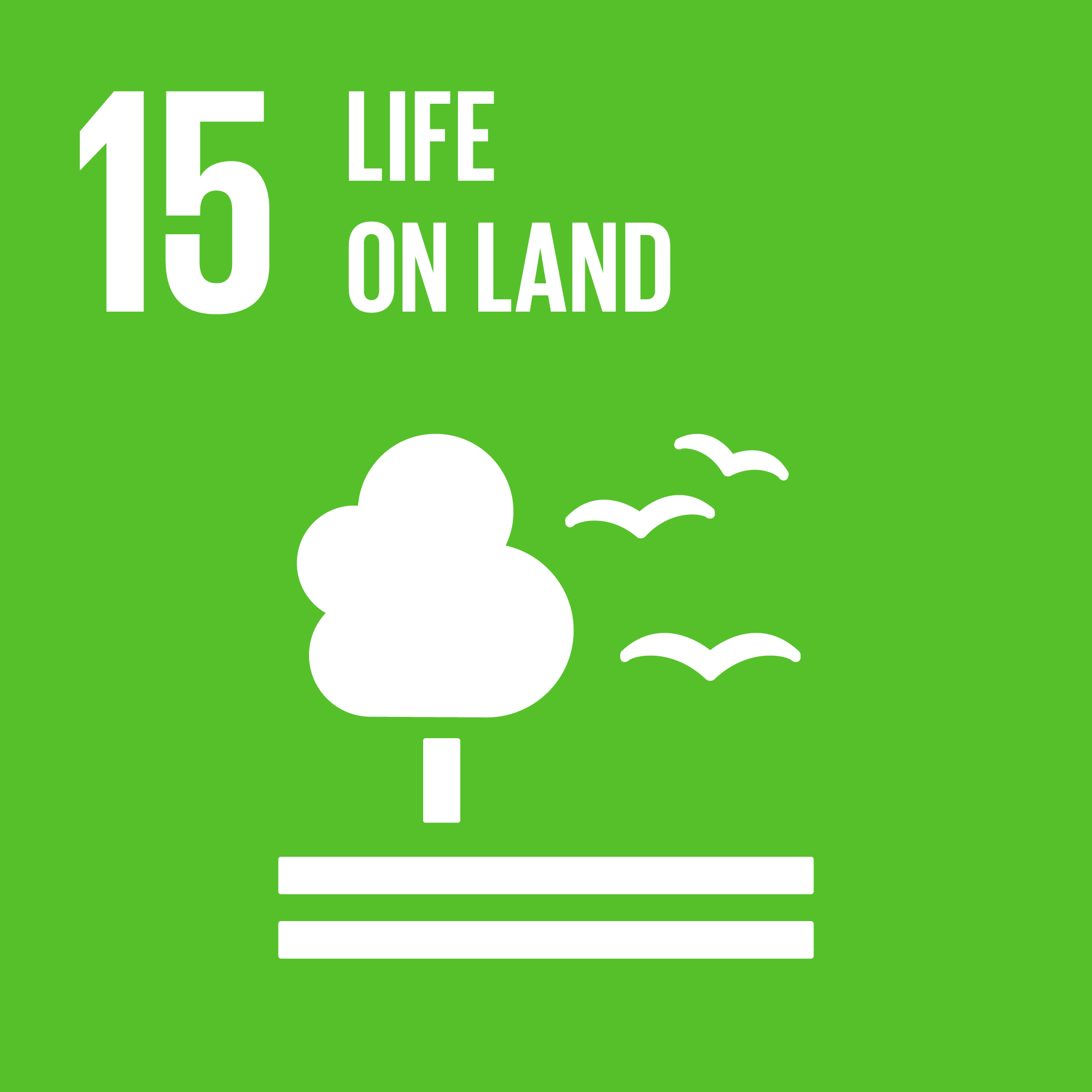 SDG Global Goal 15 icon - Life on land
