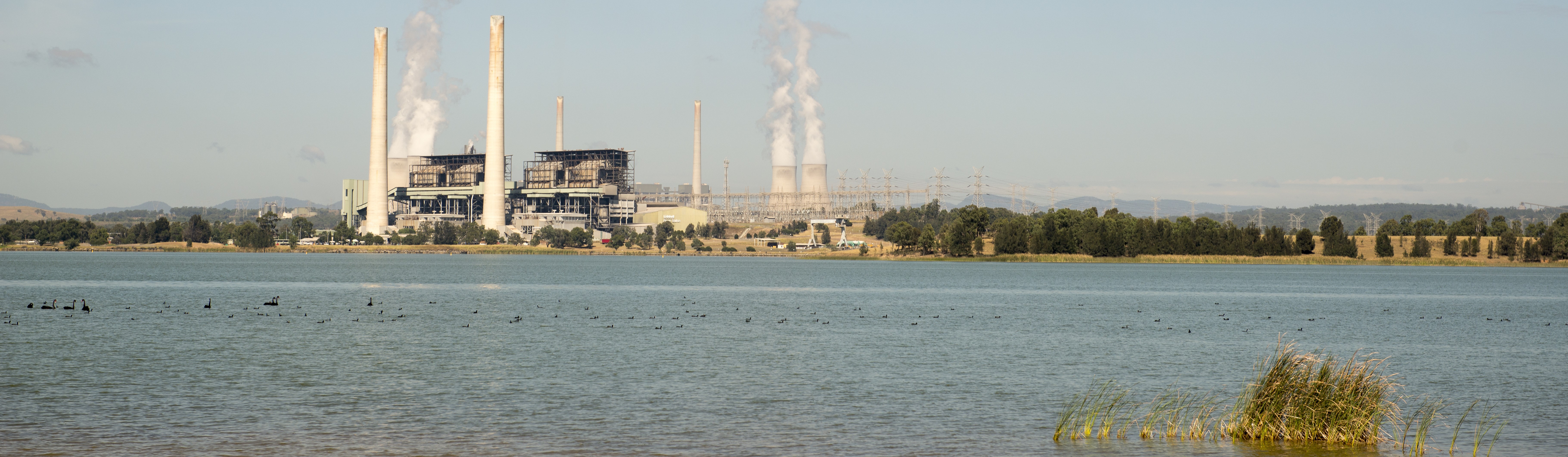 Powerplant in the distance behind waterside