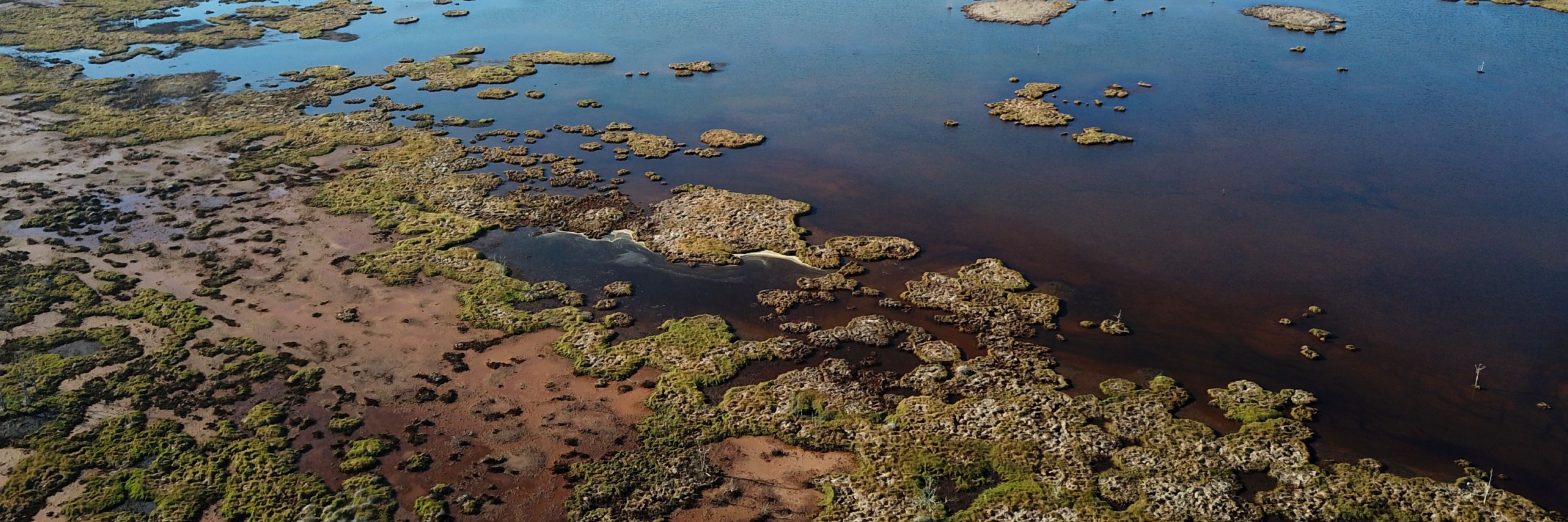 Aerial photo over NSW’s Tomago Wetlands
