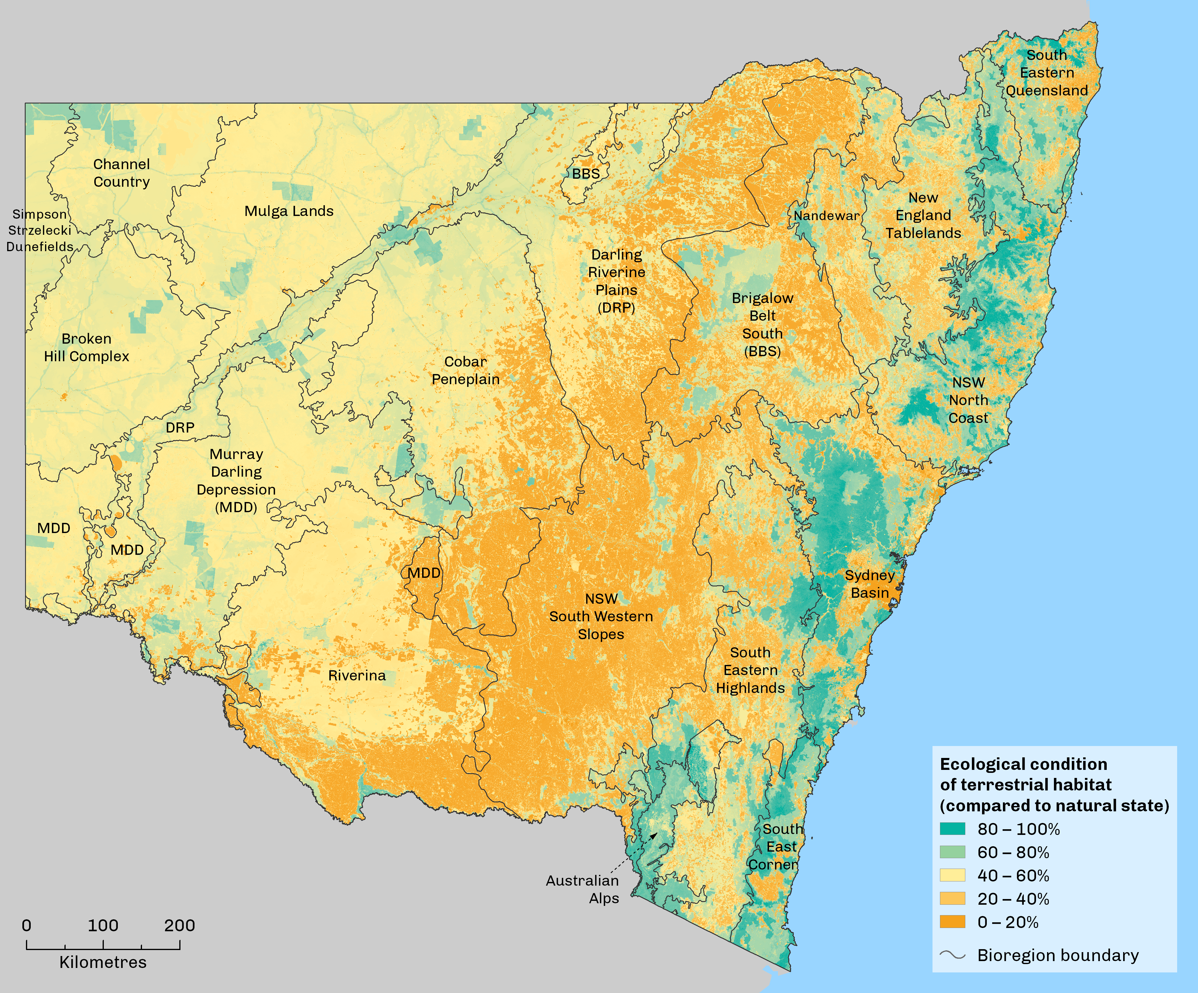 Map: Ecological condition of terrestrial habitat in New South Wales in 2013. Results are a percentage relative to pre-European settlement