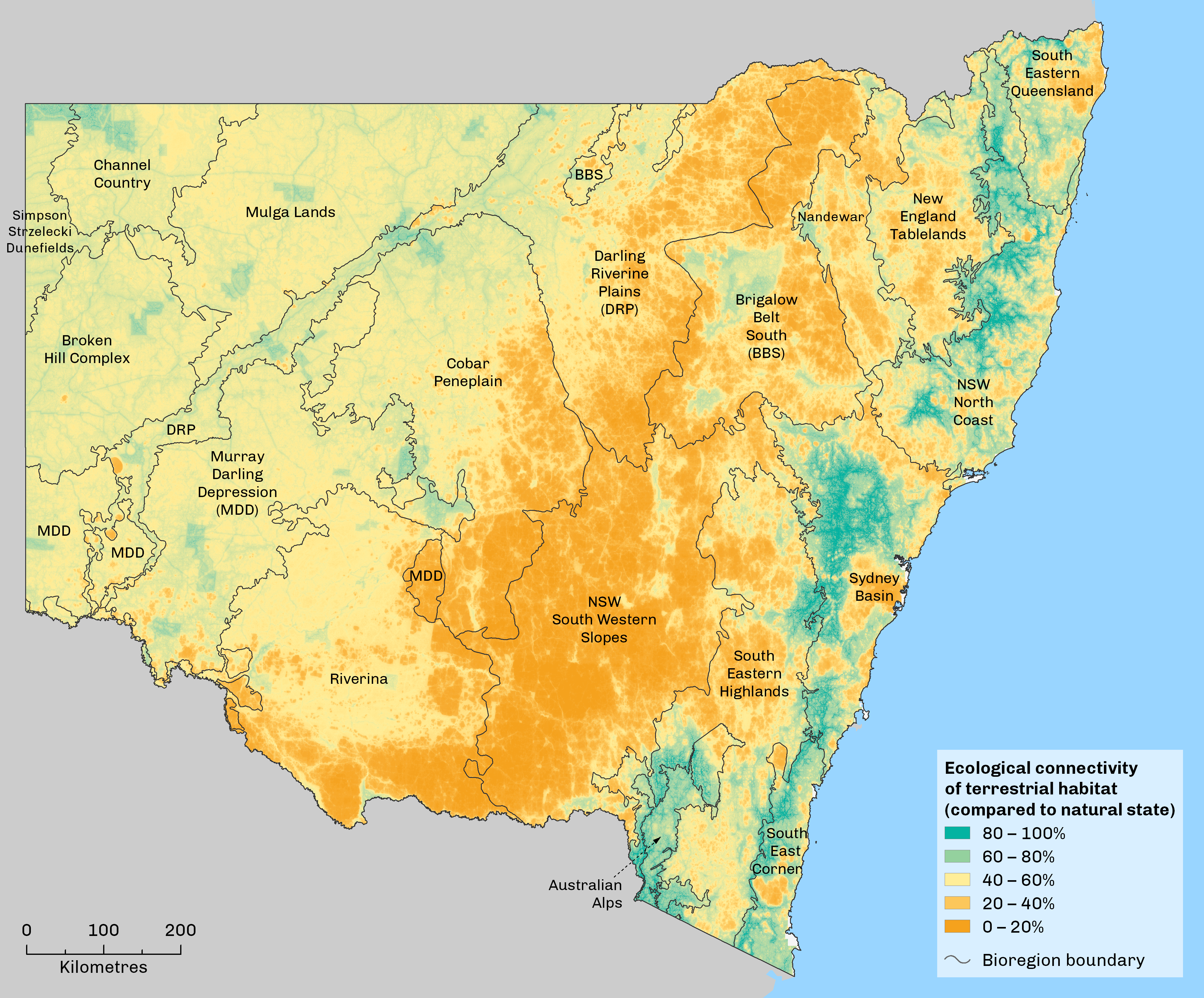 Map: Ecological connectivity of terrestrial habitat in New South Wales in 2013. Results are a percentage relative to pre-European settlement