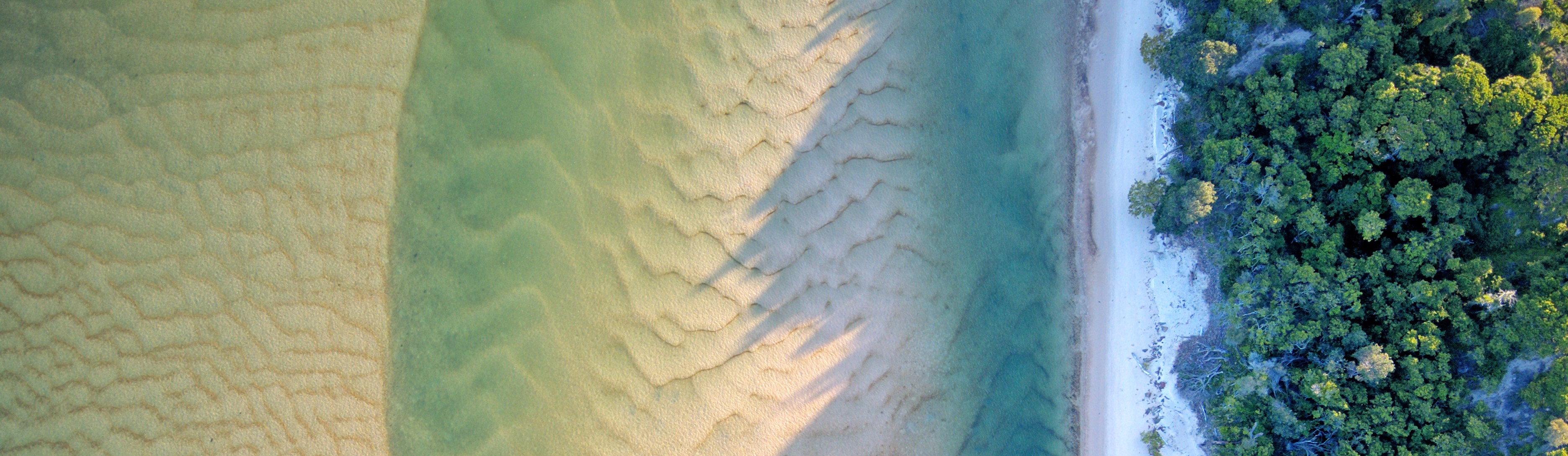 Vertical drone photograph of undulating sand within a river channel and a tree lined river-bank casting shadows