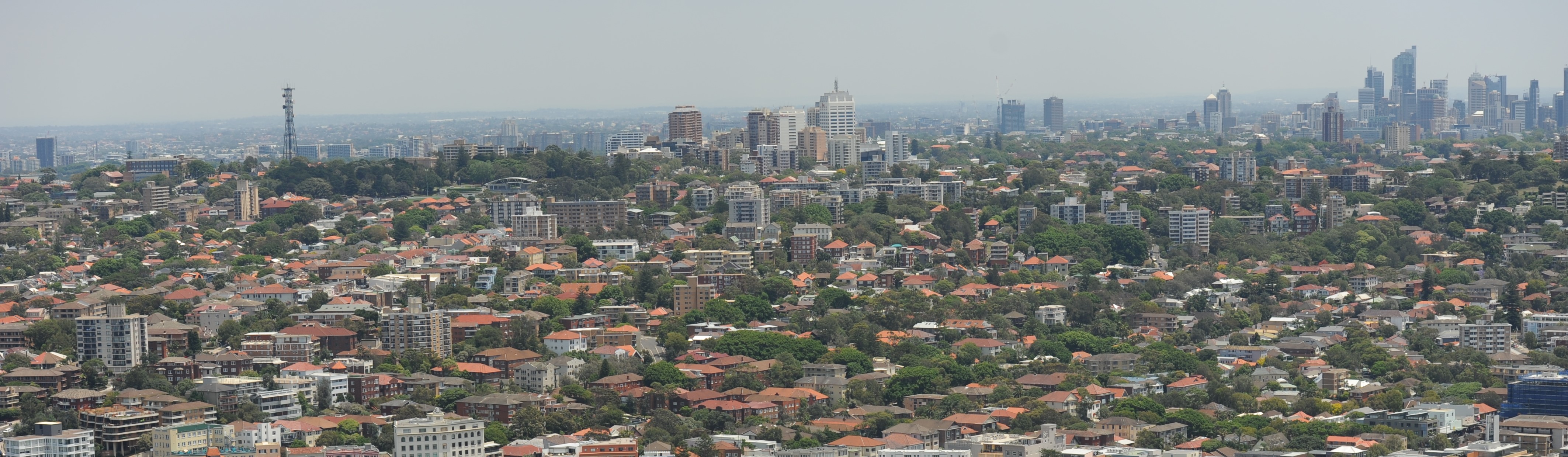 Oblique aerial photograph showing Sydney's Bondi residential and high-rise development with cityscape in background