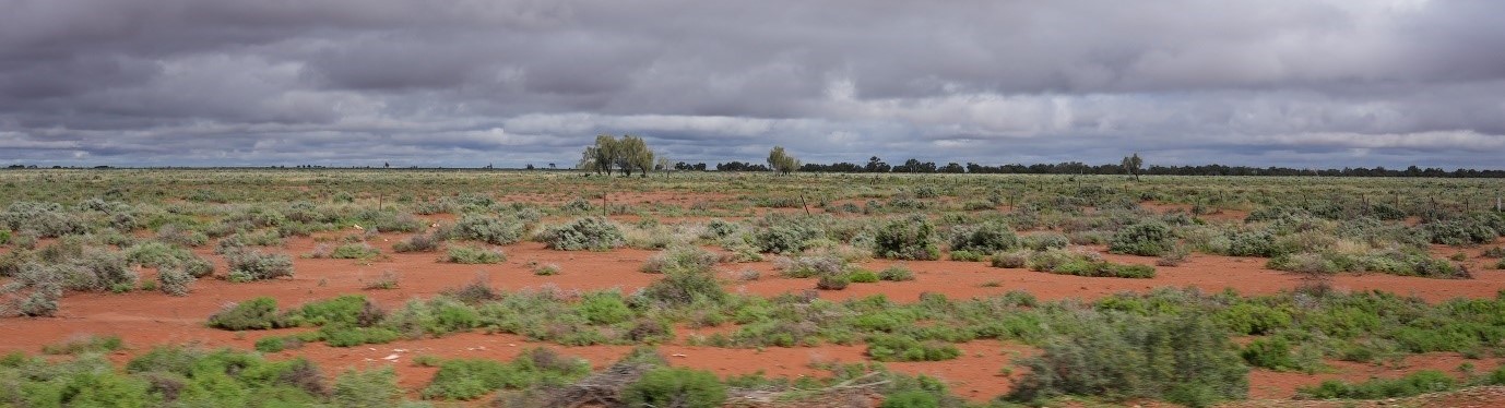 Scenic image of red earth and tundra with a stormy sky