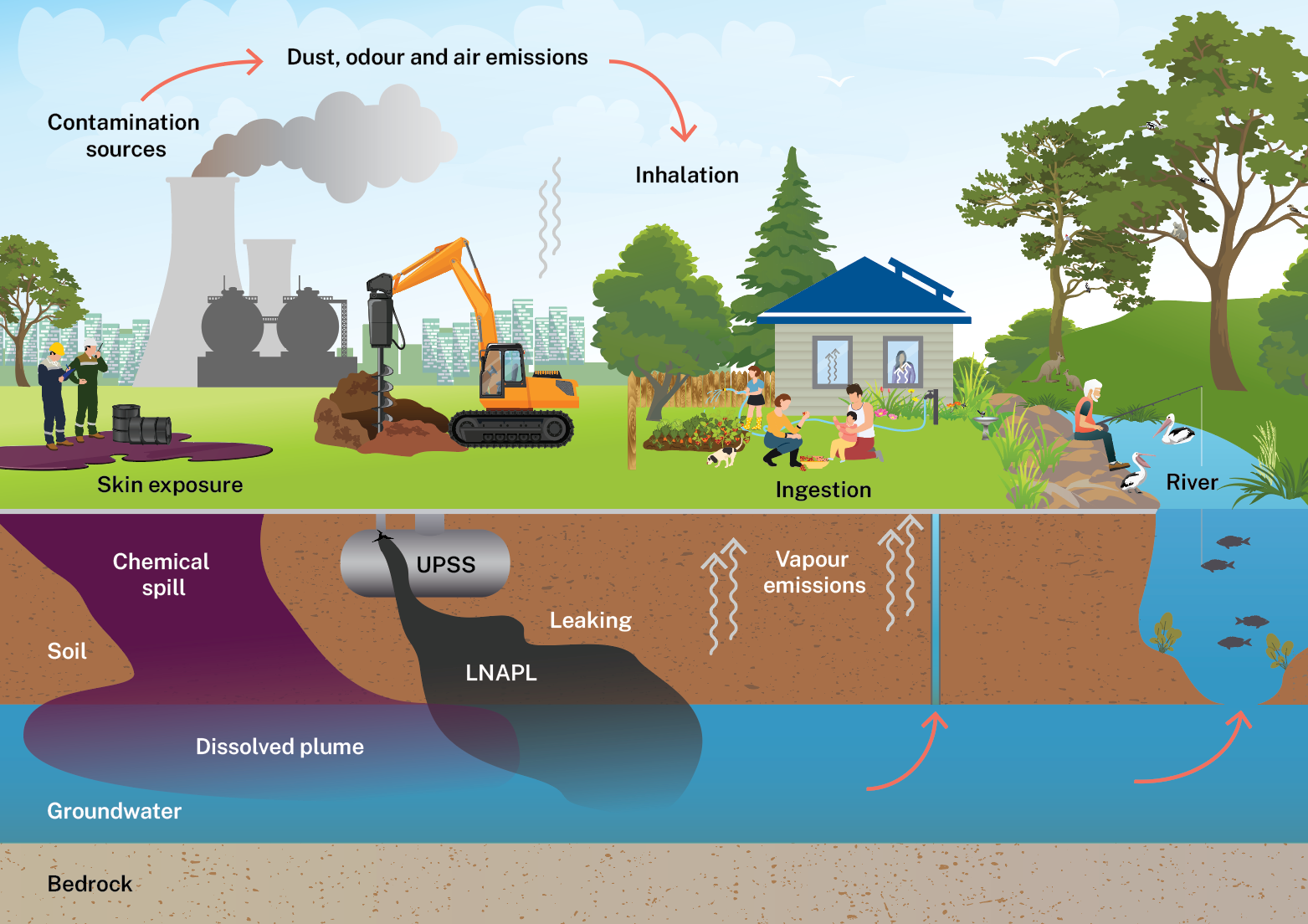 A diagram showing the contaminated lands processes and impacts, including contamination from chemical spills and Underground petroleum storage systems leaking into the groundwater and exposing humans, animals and vegetation through ingestion, inhalation or skin exposure.