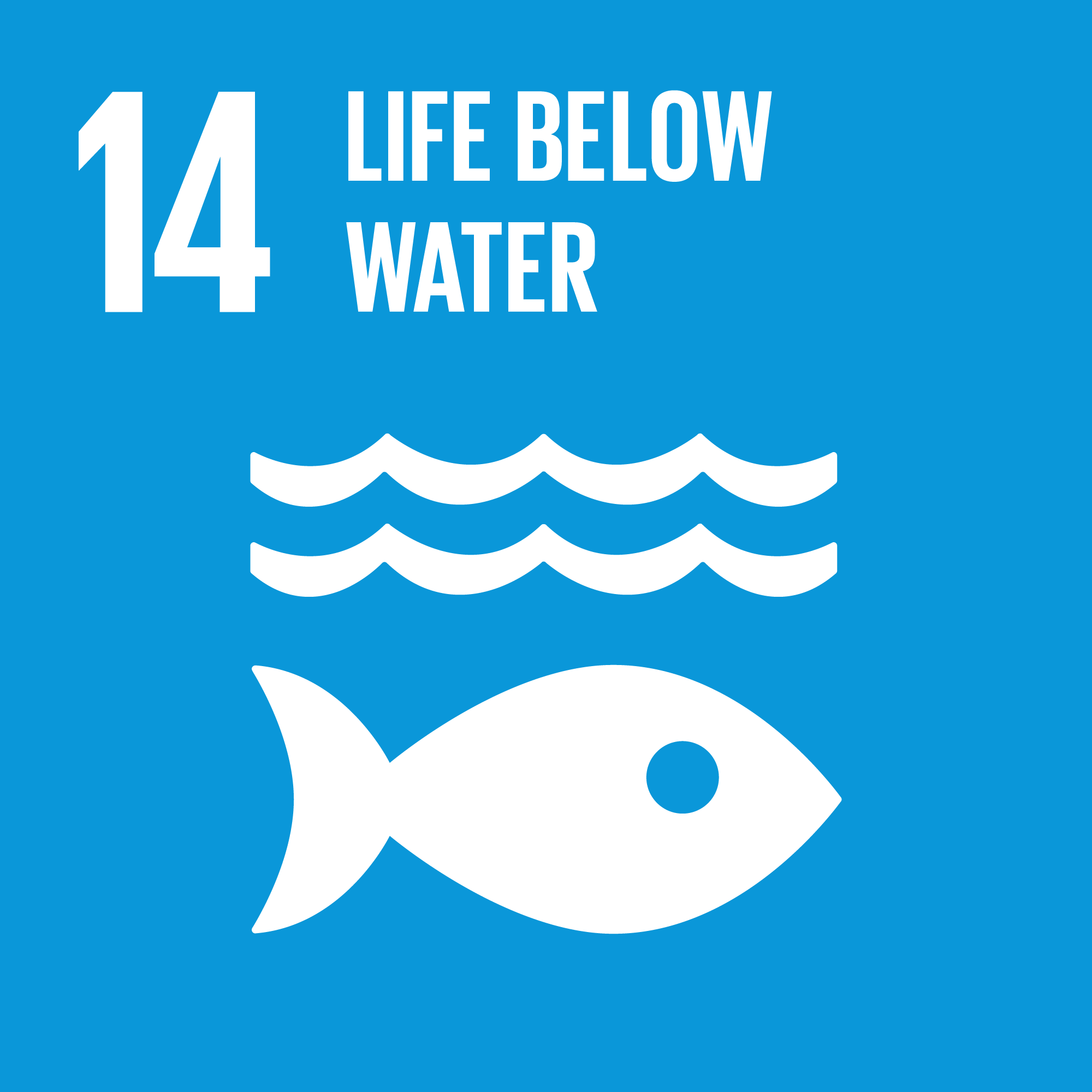 14. Life below water
