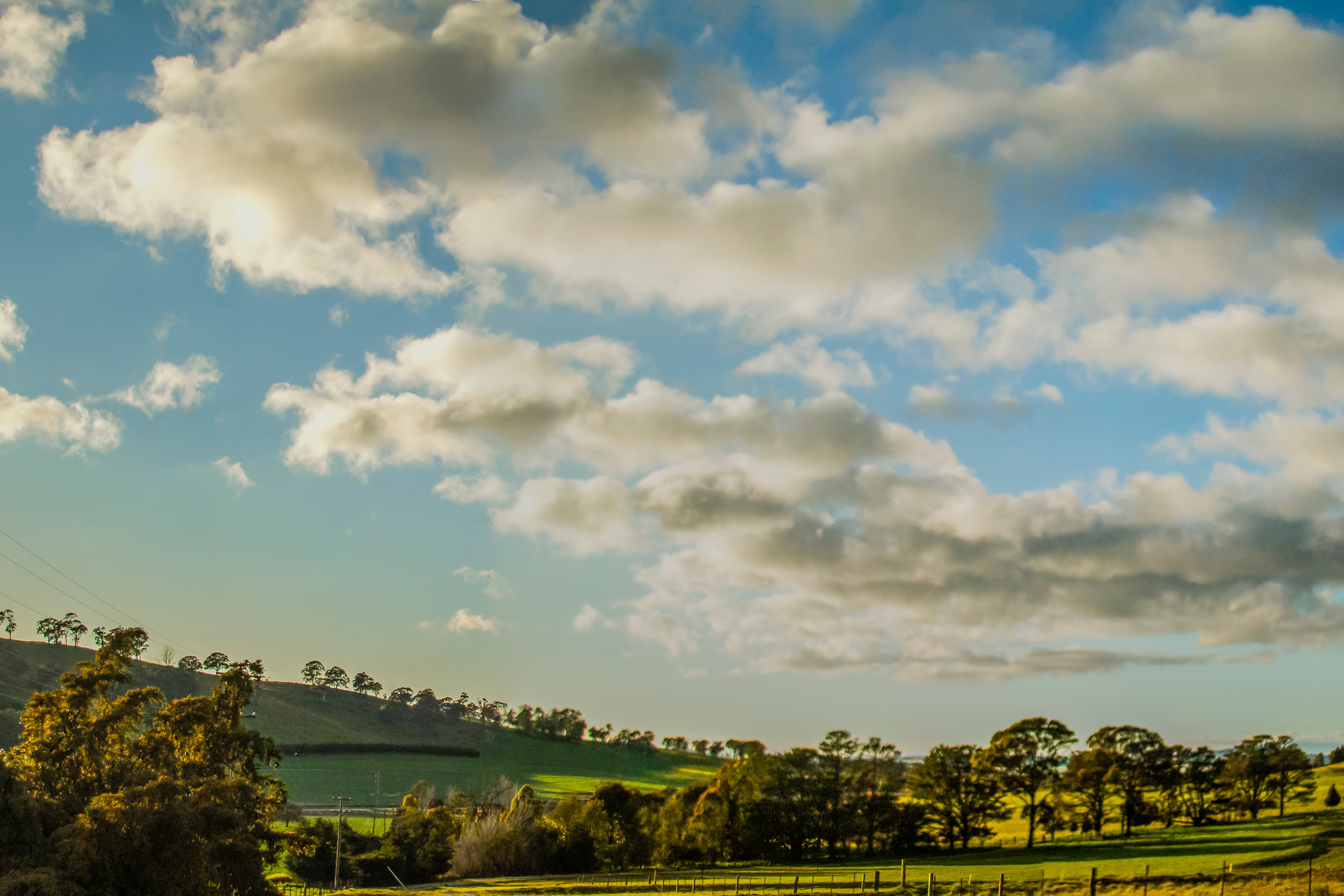 Scenic view across grazing pastures in Millthorpe