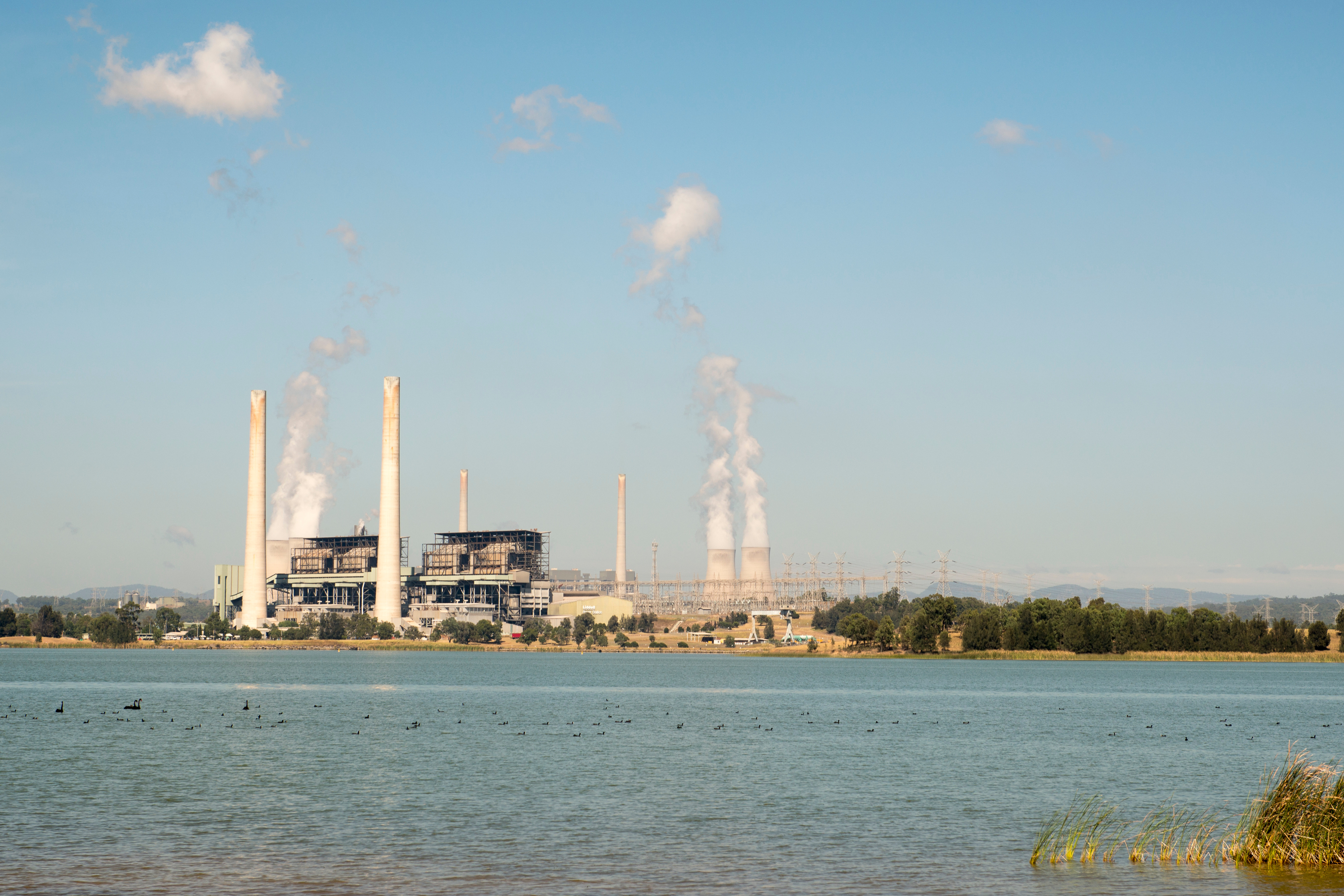 Powerplant in the distance behind waterside