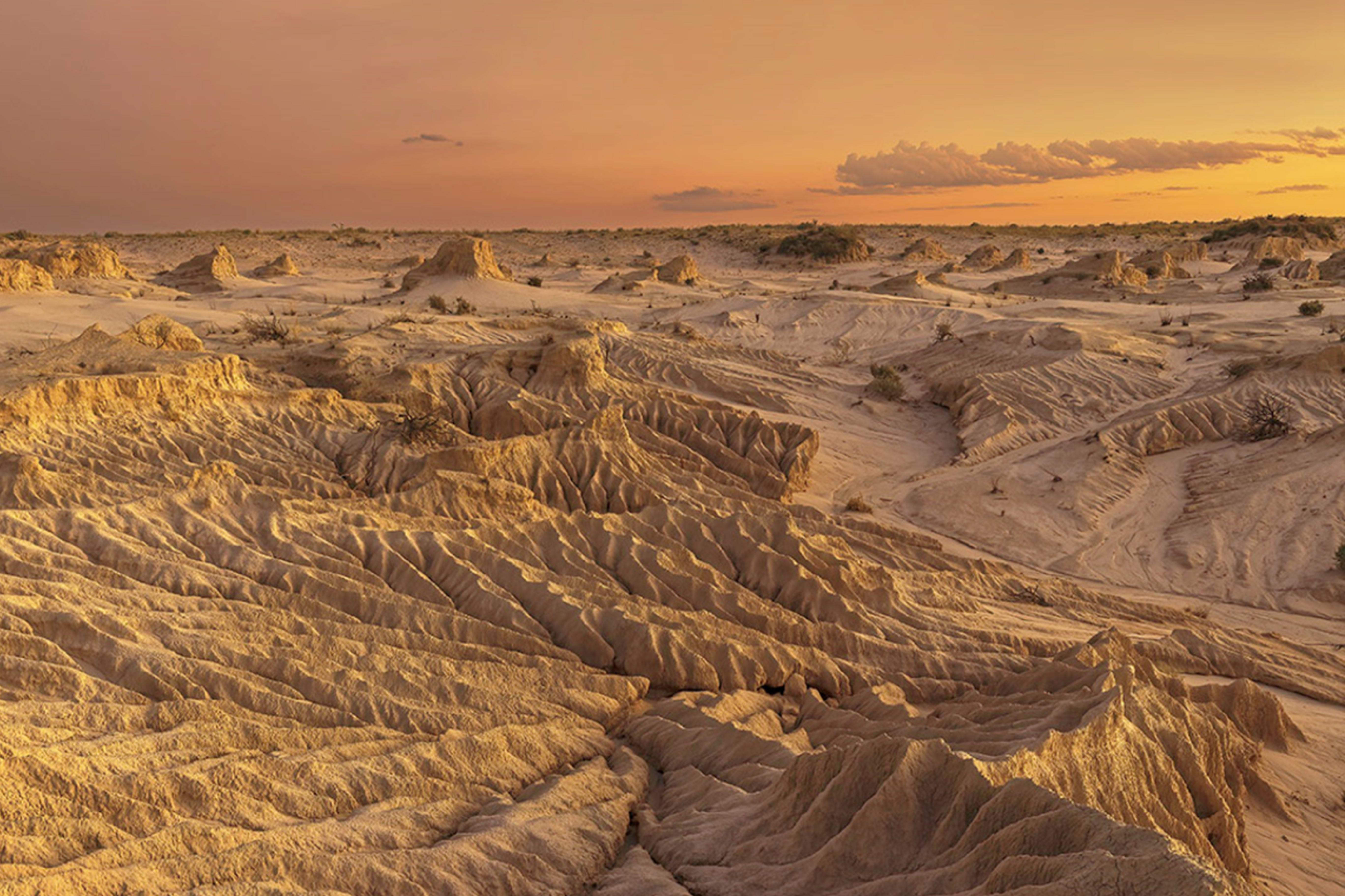 Scenic view across sand dunes within Mungo National Park, on Paakantji, Ngyiampaa and Mutthi Mutthi lands