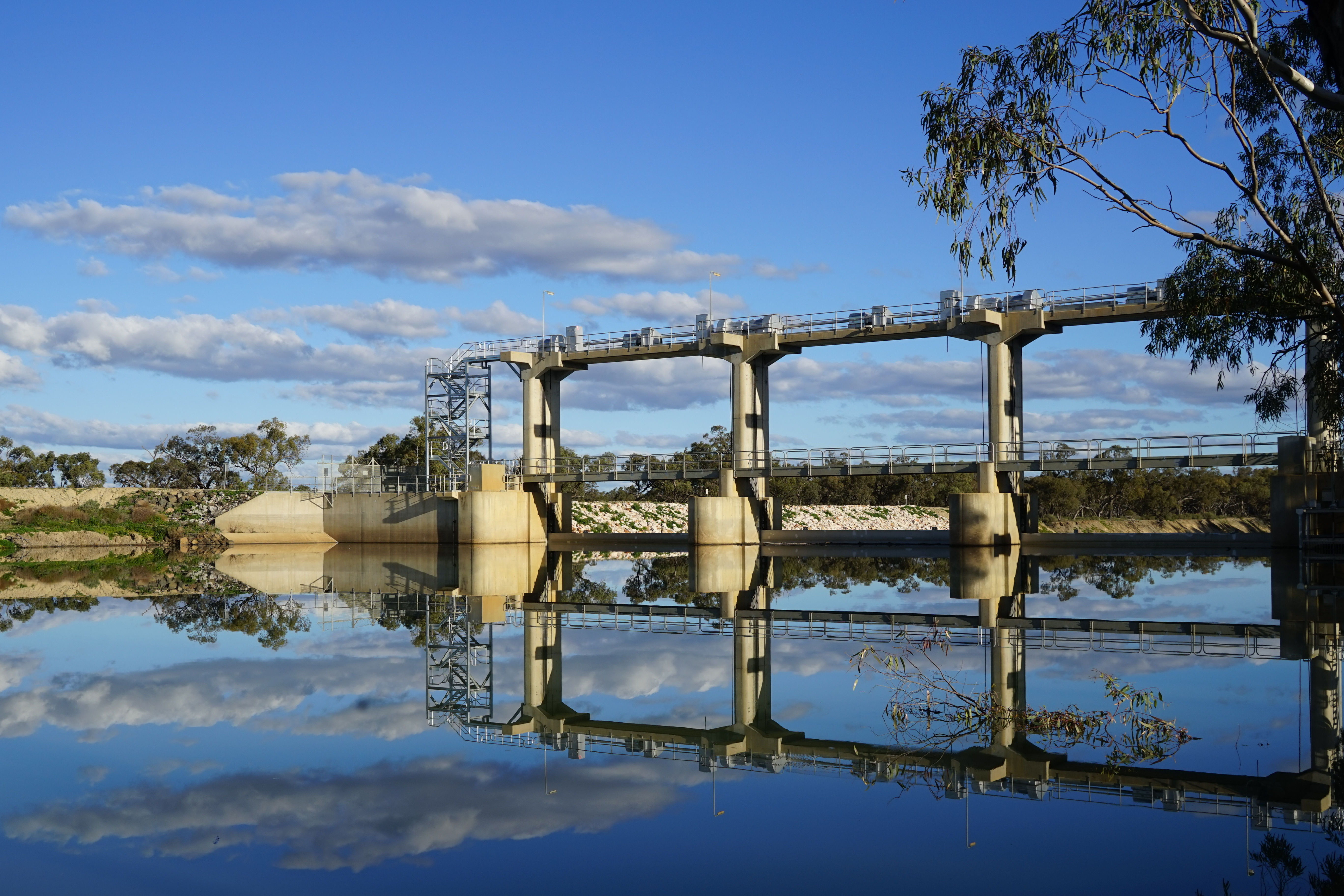 View of Weir from upper side of Murrumbidgee River, Hay