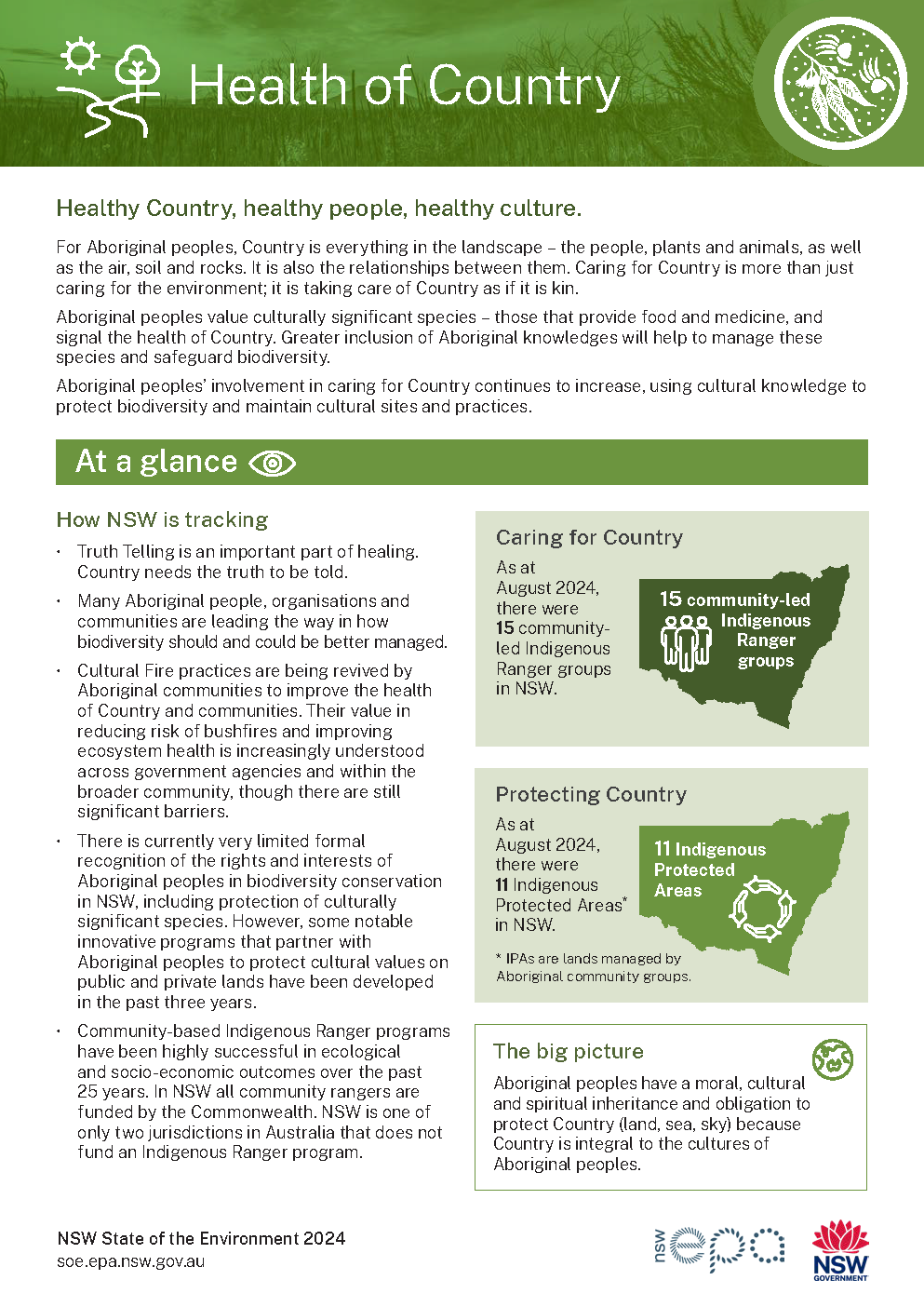 Thumbnail of one-page Health of Country topic summary card from 2024 report
