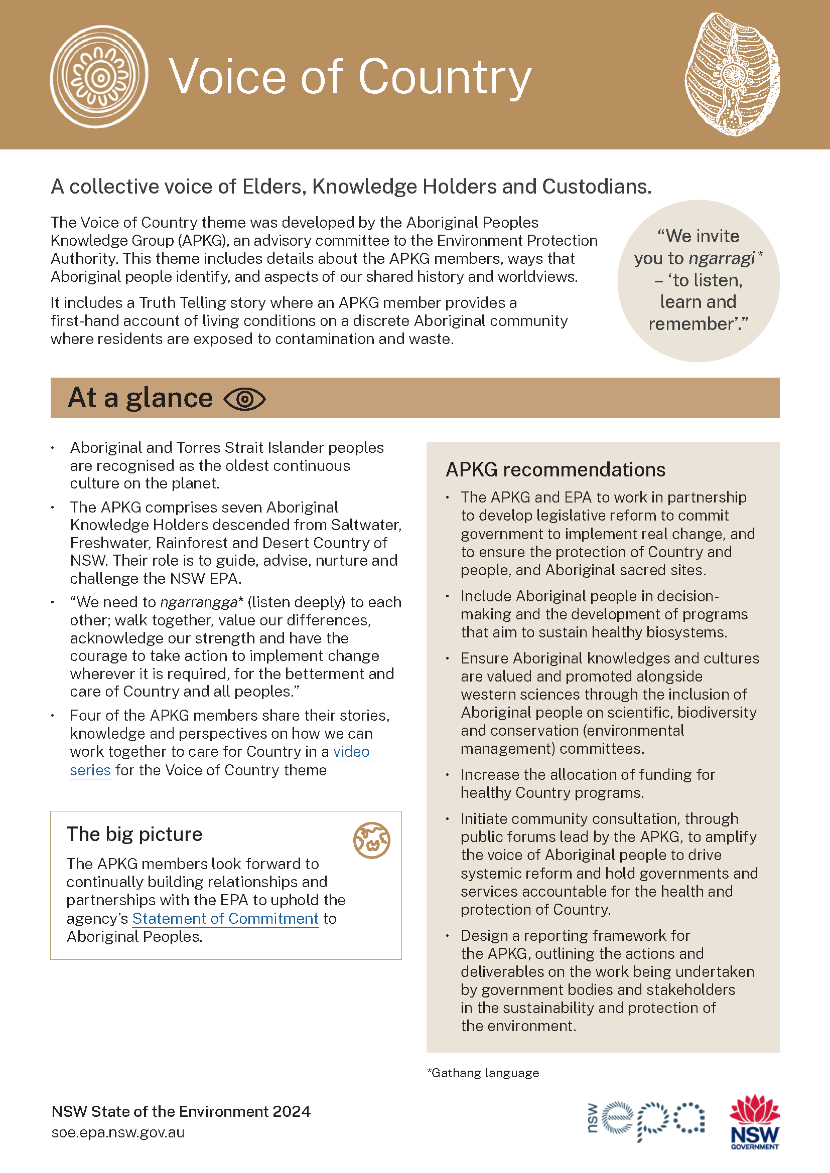 Thumbnail of one-page Voice of Country topic summary card from 2024 report
